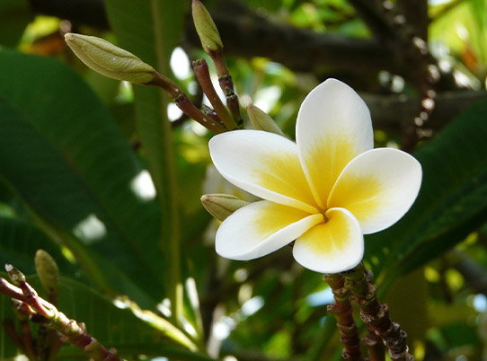 PHOTO PRESENTATION 1