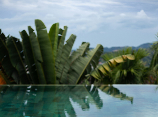 PHOTO PRESENTATION 2