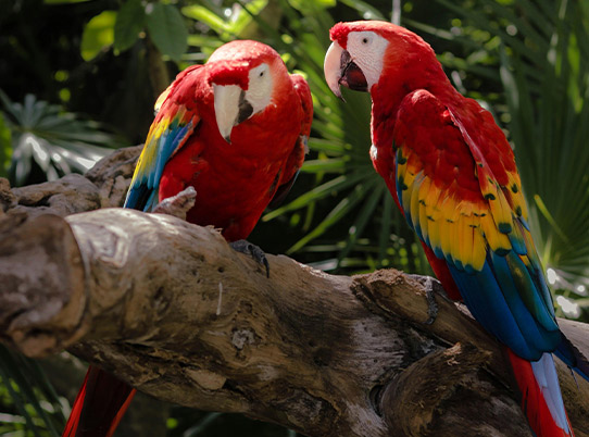 PHOTO PRESENTATION 3