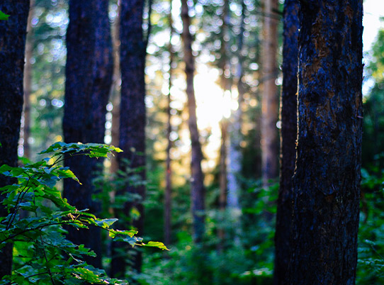 PHOTO PRESENTATION 4