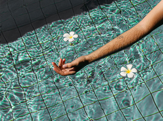 PHOTO PRESENTATION 3