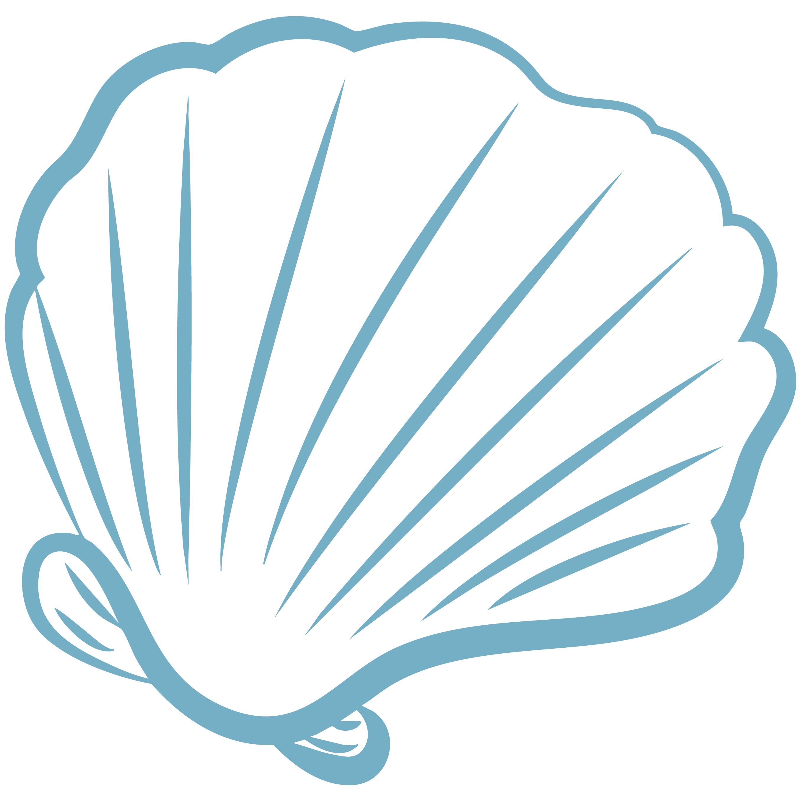 LOGO SHELL